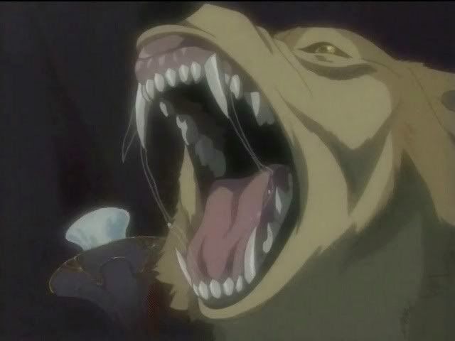 Hge Showing His Fangs