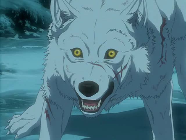 Kiba Looking Surprised