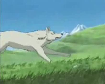 Kiba Running