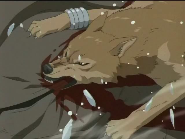 Toboe Biting On The Walrus