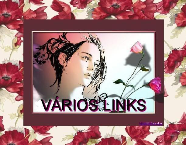 2-VriosLinks.jpg picture by martejcarvalho