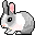 rabbit animation Pictures, Images and Photos