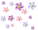floatingpastelflowers.gif picture by TERE_19_10