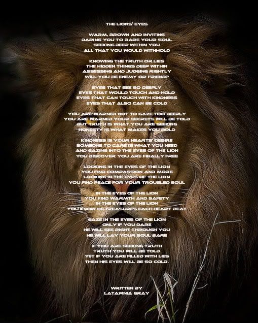 The Lion's Eyes Poem