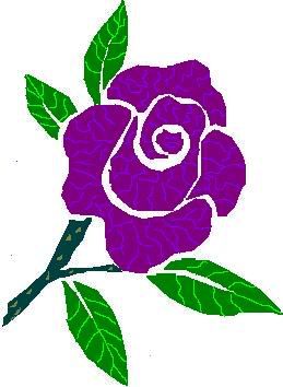 purple rose