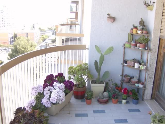 balcone1183.jpg