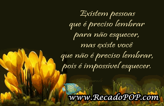 divertidas_mensagens