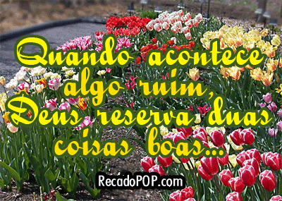 Gifs Gratis para Orkut !!