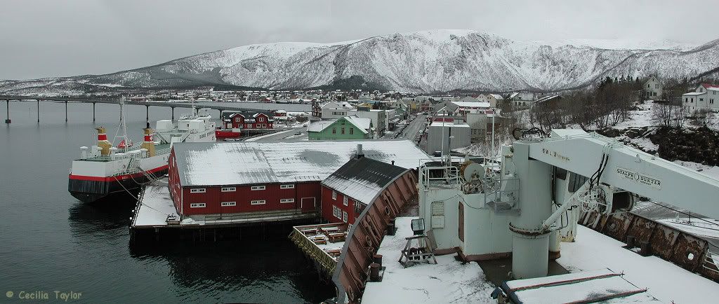 Realescort norge norge escort C date norge søker elskerinne