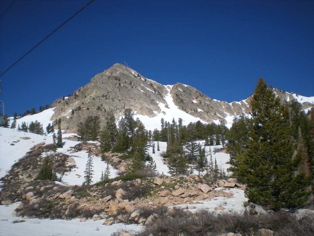01627260.jpg