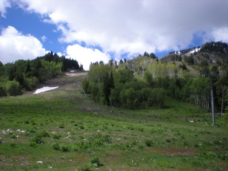 177a798a.jpg