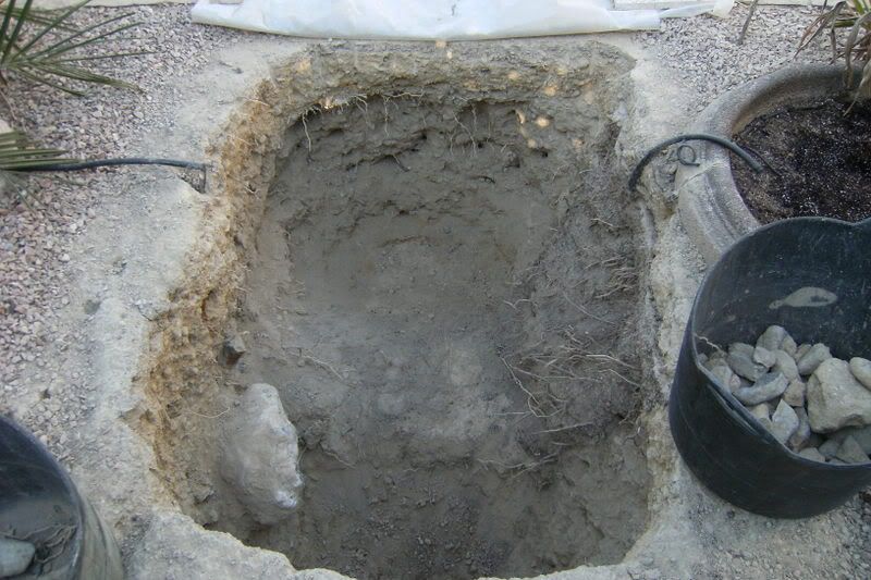 20092008004.jpg