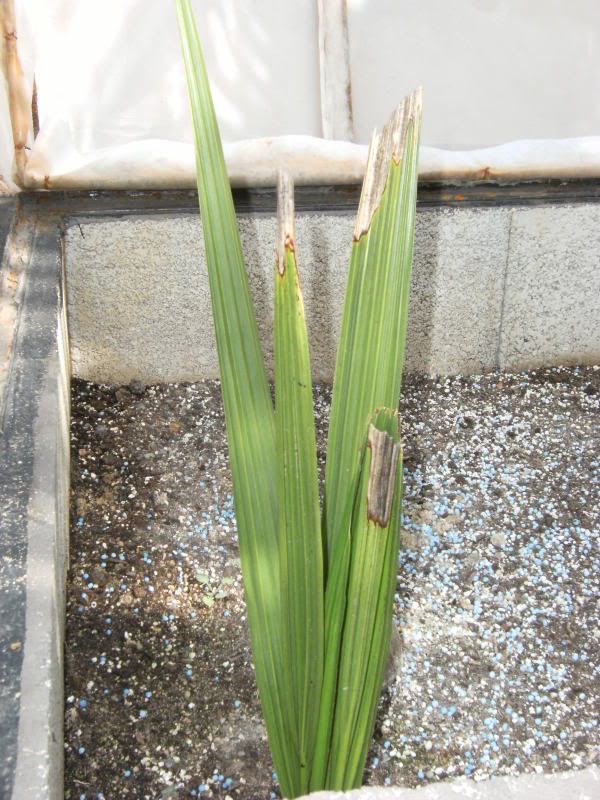 201009002.jpg