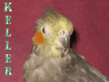 Posted Image