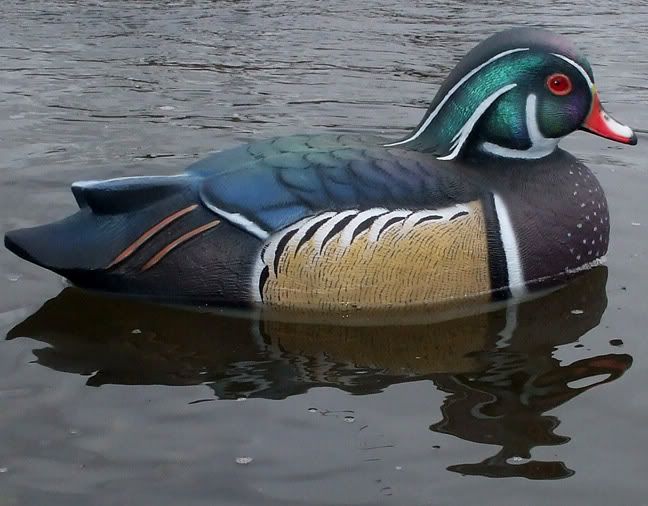 hollow wood decoys