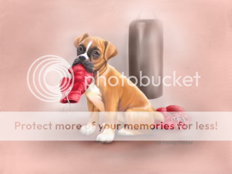 PennyParkerPuppyBoxingGloves.jpg