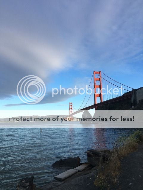 1366EE7B-EBCF-4980-98F9-8267F0AA989F_zpsbea3alb0.jpg