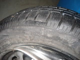 DSC01709.jpg