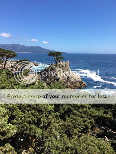 EB13C337-3D82-4694-8EBB-2DF26E6DCF12_zpskydghjxn.jpg
