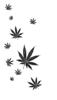 got weed Pictures, Images and Photos