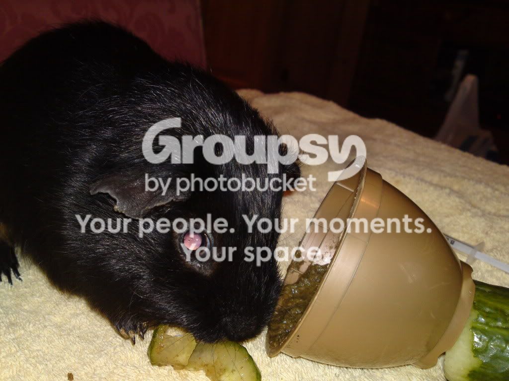 15032010097.jpg