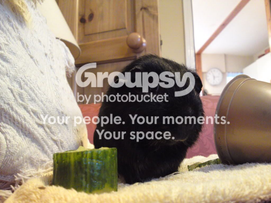 15032010099.jpg