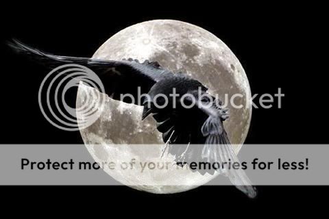 Moon_Raven Pictures, Images and Photos