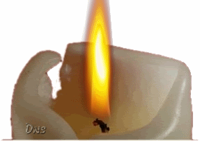dns66.gif