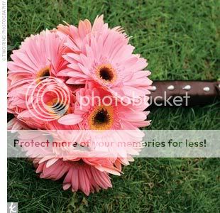 http://i304.photobucket.com/albums/nn181/sheneedstorest/wedding%20ideas/gerber-daisy-bridesmaid-bouquet.jpg