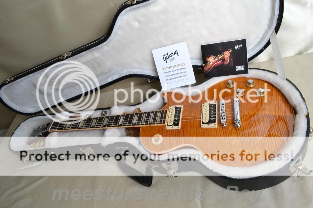 Gibson Slash AFD Appetite 8.3 lbs SuperTop Les Paul(600  