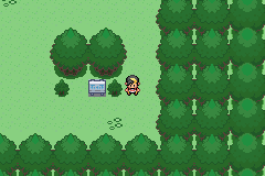 [PokeCommunity.com] *Pokemon ExtremeDiamond*