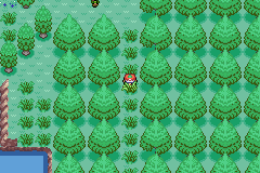 [PokeCommunity.com] •Pokemon Shadow Carnation•