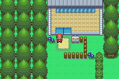 [PokeCommunity.com] *-♠Pokemon Amythest Version♠-*
