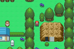[PokeCommunity.com] *-♠Pokemon Amythest Version♠-*