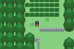 [PokeCommunity.com] *Pokemon ExtremeDiamond*