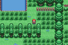 [PokeCommunity.com] ~Pokemon Sparkling Blue~