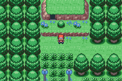 [PokeCommunity.com] ~Pokemon Sparkling Blue~