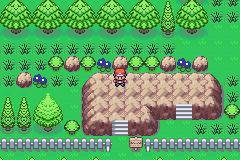 [PokeCommunity.com] *-♠Pokemon Amythest Version♠-*