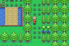 [PokeCommunity.com] *-♠Pokemon Amythest Version♠-*