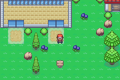 [PokeCommunity.com] *-♠Pokemon Amythest Version♠-*