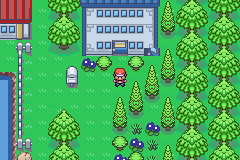 [PokeCommunity.com] *-♠Pokemon Amythest Version♠-*