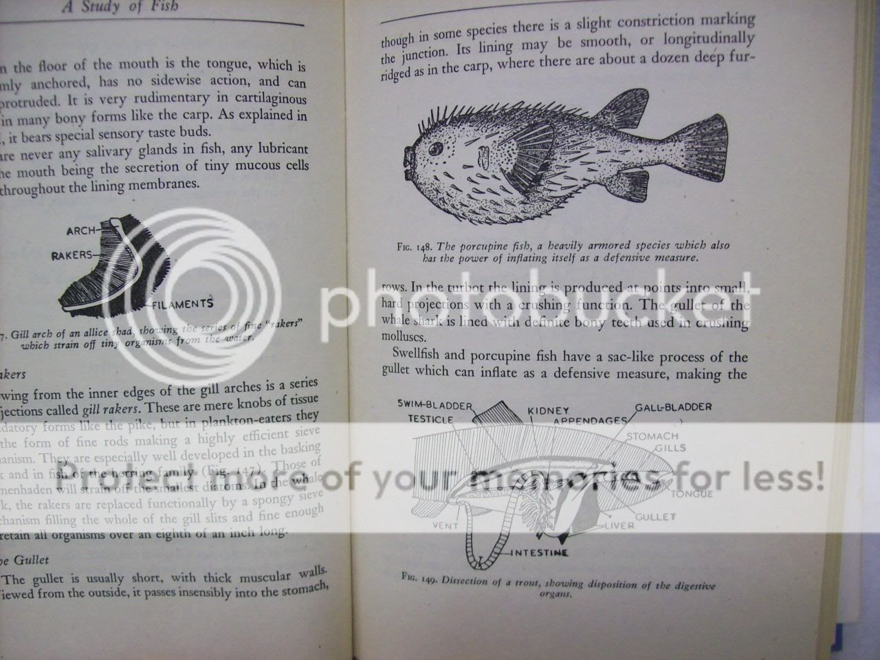 1948 Stated First Edition,A Study Of Fish,Fishing Book  