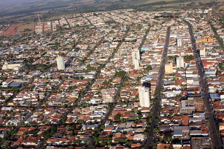 Dracena São Paulo fonte: i304.photobucket.com