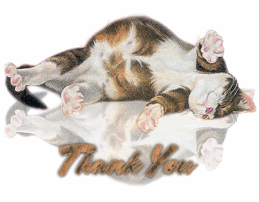 thank you cat gif